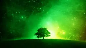 Lime green creates a calming yet uplifting atmosphere. 