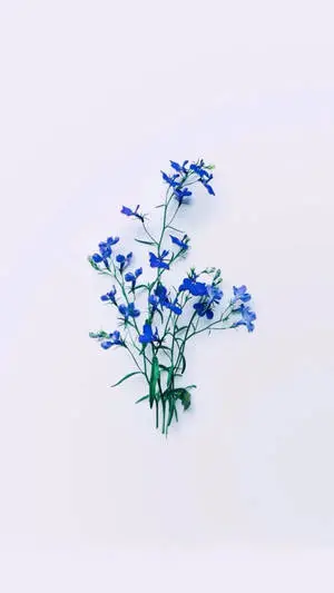 Minimalist Flowers Aesthetic