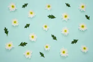 Mint Green Aesthetic Tiny Flowers