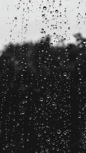 Monochrome Window With Beautiful Rain Droplets