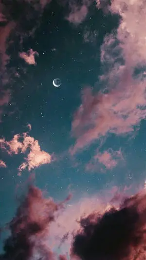 "Dreams of the night sky"