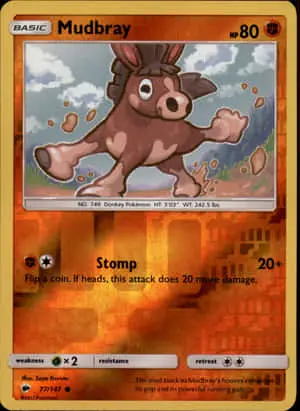 Mudbray Pokemon Card