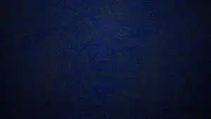 Navy Blue Denim Fabric Texture