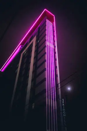 Embraced by the purple ambient of the city. 