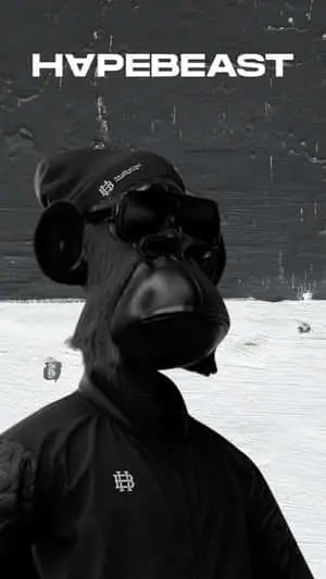 NFT Monkey Black Hypebeast 