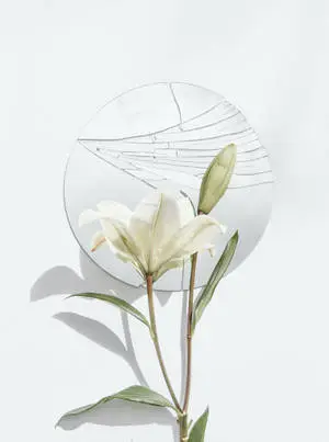 One-Sided Love Broken Mirror