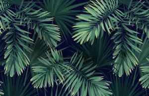  Caption: Tropical Elegance - Veins of a Palm Leaf 