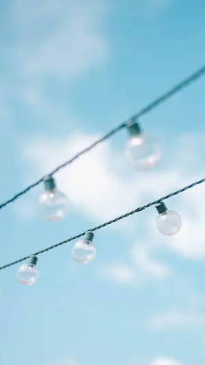 Pastel Vintage Photograph Of Bulbs