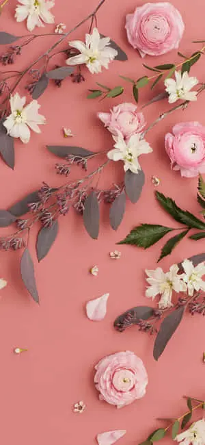 Rose And Jasmine Pink Aesthetic Background