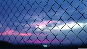 Pink Aesthetic Fence Background 