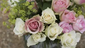 Adorable Pink And White Roses
