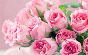 Pink Flower Rose Bouquet