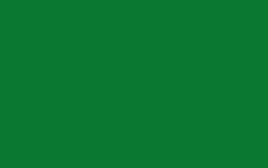 Plain Dark Green With Rich And Deep Hue