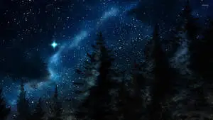 Pretty Blue Starry Night In The Woods
