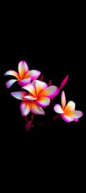 Pretty Plumeria Flower Mobile