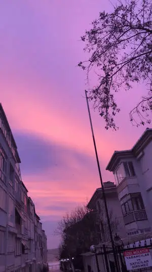 Sunrise in the City of Purple Aesthetics 