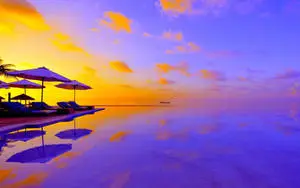 Purple Summer Desktop