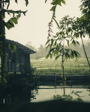 Image  A picturesque view of the countryside on a rainy day.