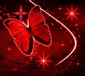 Red Butterfly Flying Around