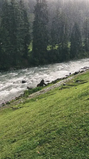 Flowing River Amidst Nature's Beauty