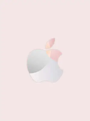 Shiny Silver Logo Rose Gold Apple
