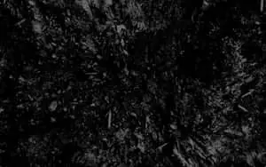 Rough Texture Black Ash
