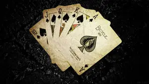 Royal Flush Playing Cards Sponge 