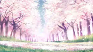 Sakura Anime Landscape Low Angle Shot