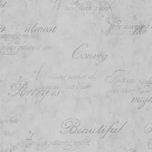  Caption: Elegant Cursive Script Writing 