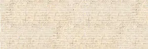 Script On A Long Paper Scroll