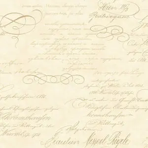 Script Venetian Vintage French Calligraphy