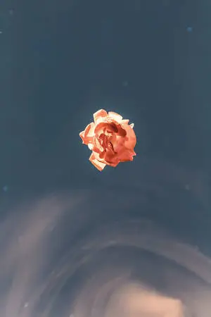 Simple Orange Vintage Flower Aesthetic