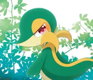Snivy On Leafy Background