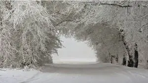  Caption: Majestic Winter Landscape 