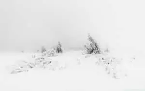 Soft White Aesthetic Landscape