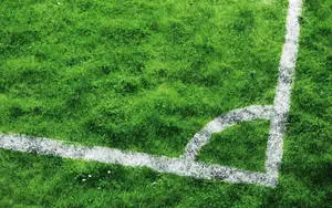 Sports Field In 4k