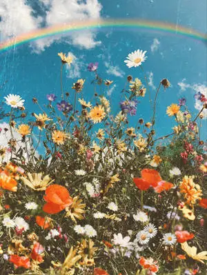 Spring Aesthetic Rainbow