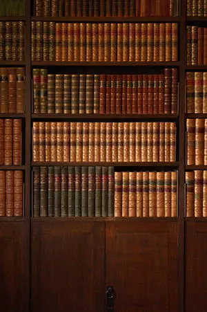 Magnificent Aesthetic Vintage Library