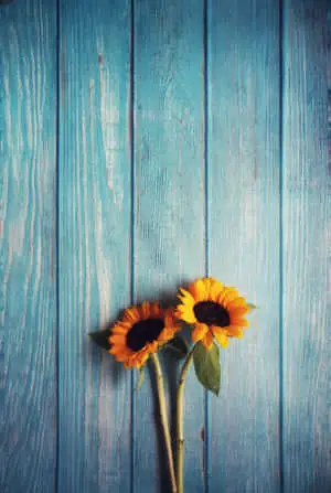 Wooden Table With Sunflower Phone