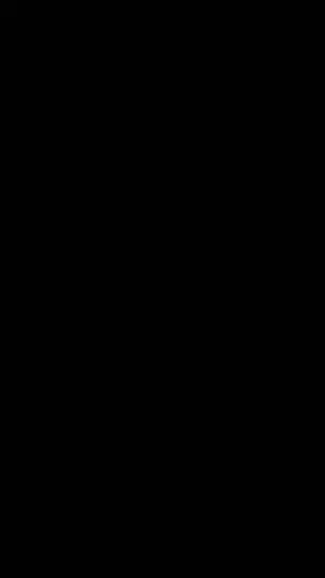 Total Black Solid Color Phone