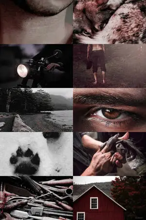 Twilight Aesthetic