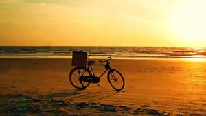 Vintage Aesthetic Bike Sunset