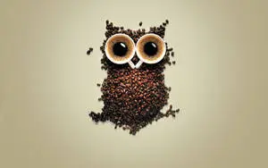 Vintage Aesthetic Owl