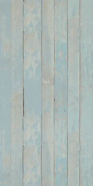 Vintage Pastel Wood Plank Flooring
