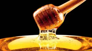 Viscous And Sticky Honey Dipper
