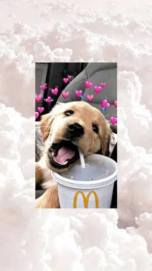 White Aesthetic Tumblr Puppy Drinking Soda