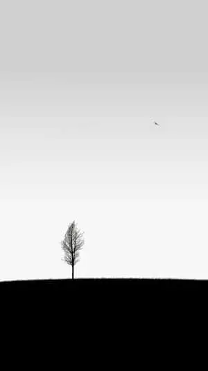 White Minimalist Tree Iphone