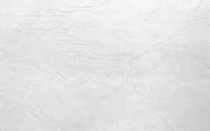 Close Up Leather White Texture Background