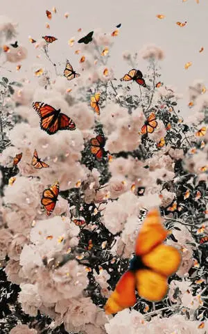 White Vintage Flower Aesthetic With Butterflies