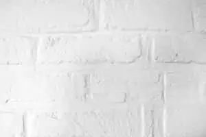 Simplicity in Elegance - White Zoom Background